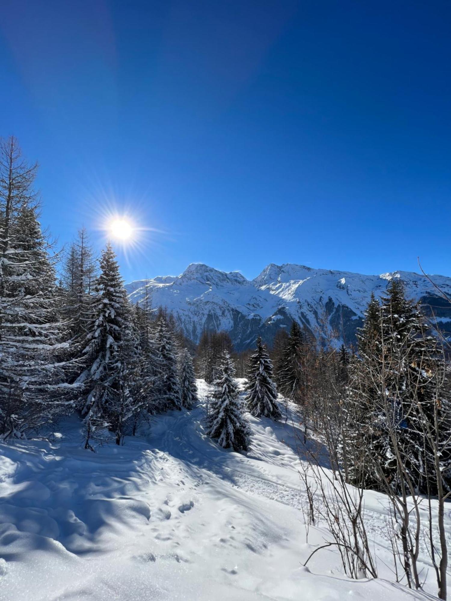 Chalet Altus Sainte-Foy-Tarentaise Extérieur photo